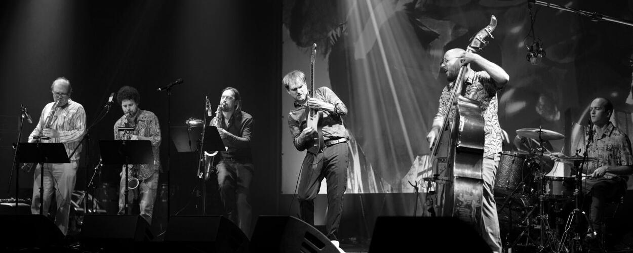 Multižánrový festival Ponavafest, Lužánky. Magazín KULT* Brno
