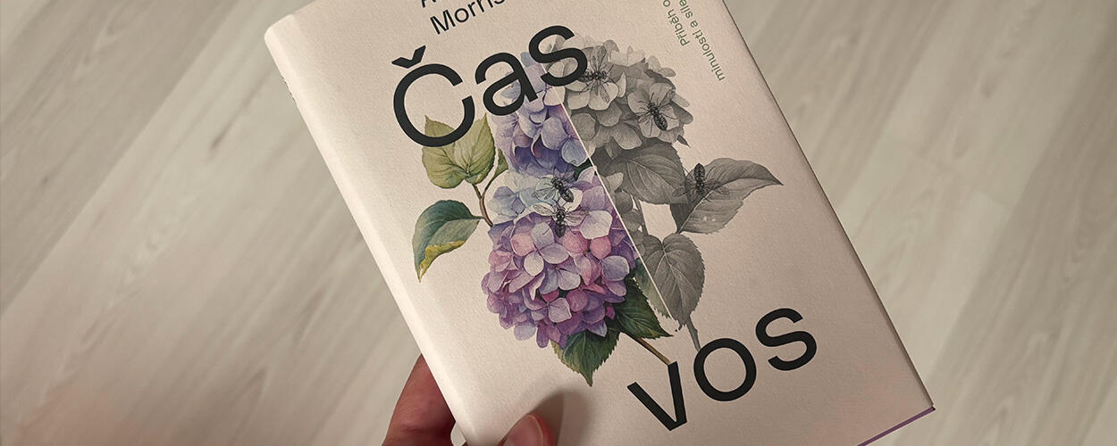 Alena Mornštajnová, Čas vos, knihy, literatura, recenze, magazín KULTINO*Brno