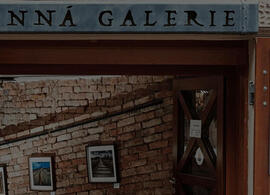 Vinotéka Vinná galerie, Vican. Magazín KULT* Brno