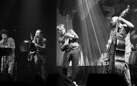 Multižánrový festival Ponavafest, Lužánky. Magazín KULT* Brno