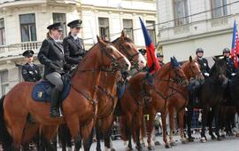 Den policie. Ignis Brunensis. Mistrovstvi České republiky v jezdectví. Magazín KULT* Brno