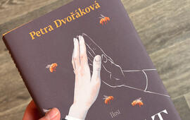 Petra Dvořáková, Návrat, Host, recenze, knihy, literatura, magazín KULTINO*Brno