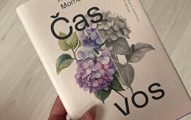  Alena Mornštajnová, Čas vos, knihy, literatura, recenze, magazín KULTINO*Brno